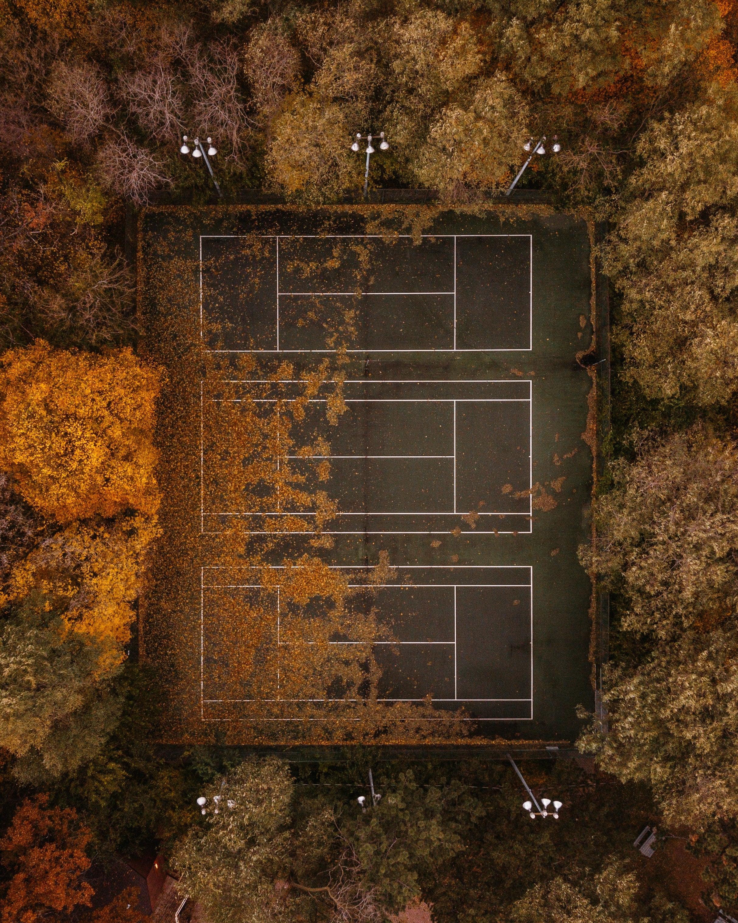 Court